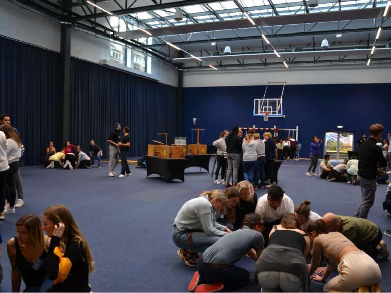article talenz 8
