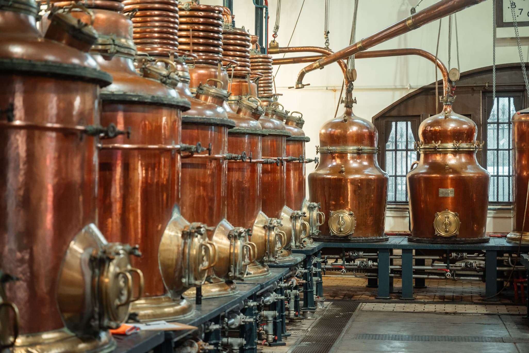 FY24_Benedictine_Distillerie
